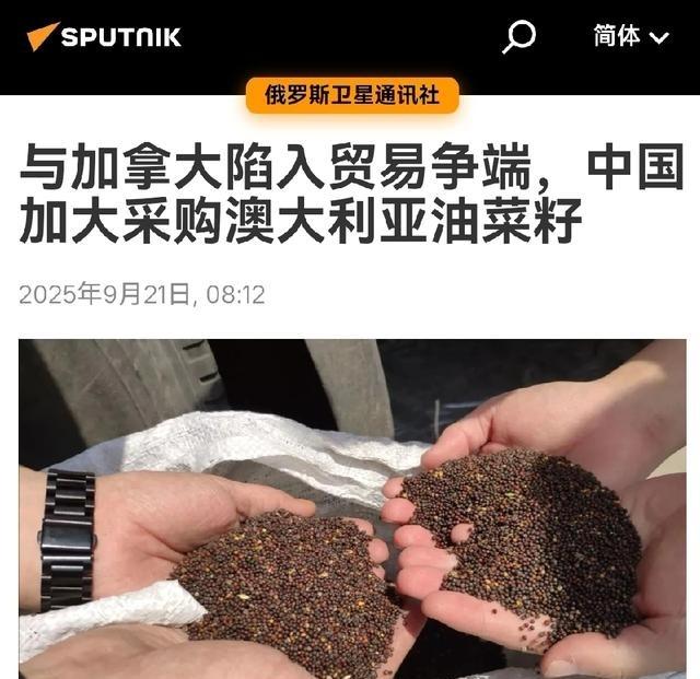 打一个拉一个，中国这招显智慧。俄媒今日引述路透社报道，中国央企中粮集团向澳大利亚