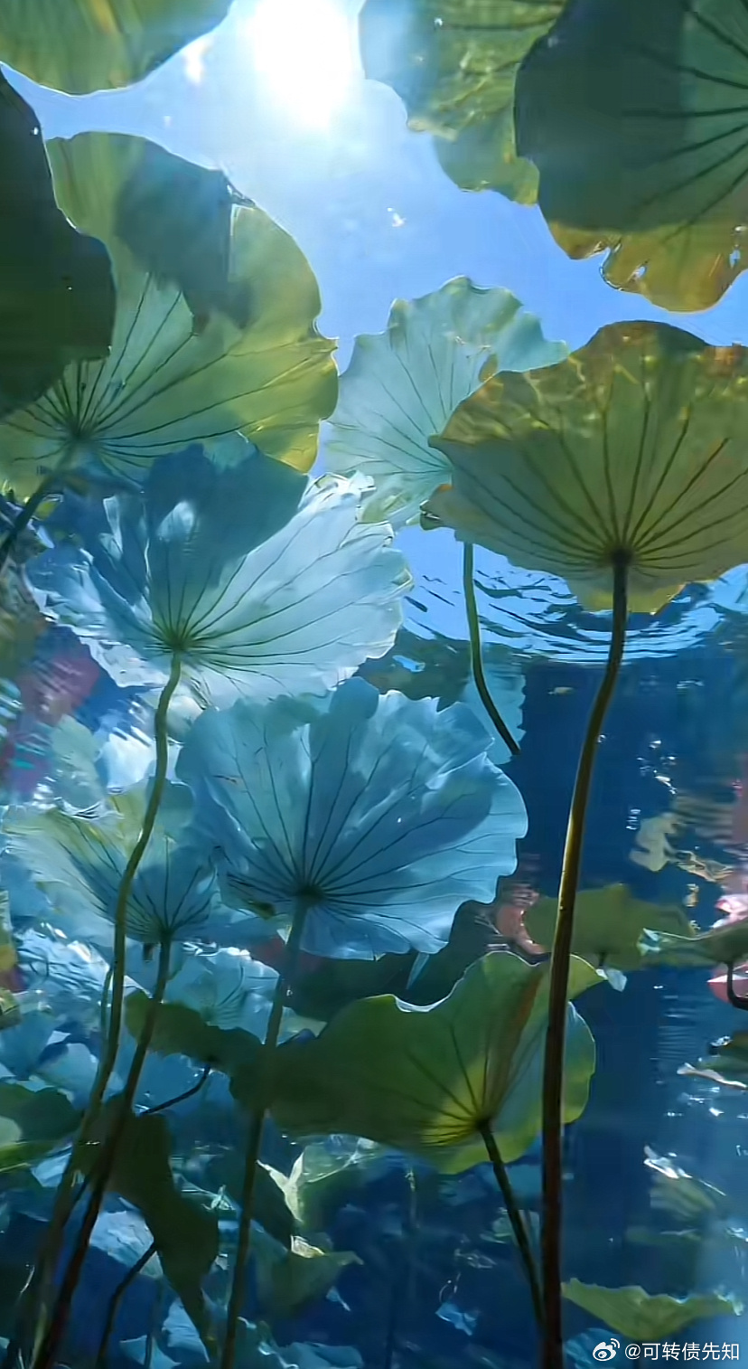 存储芯片+EDA+半导体IP，深度布局的9家公司2026年7月6日 AI的浪潮持