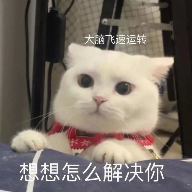 搞笑表情包，笑出腹肌不是梦！ #表情包# ​​​