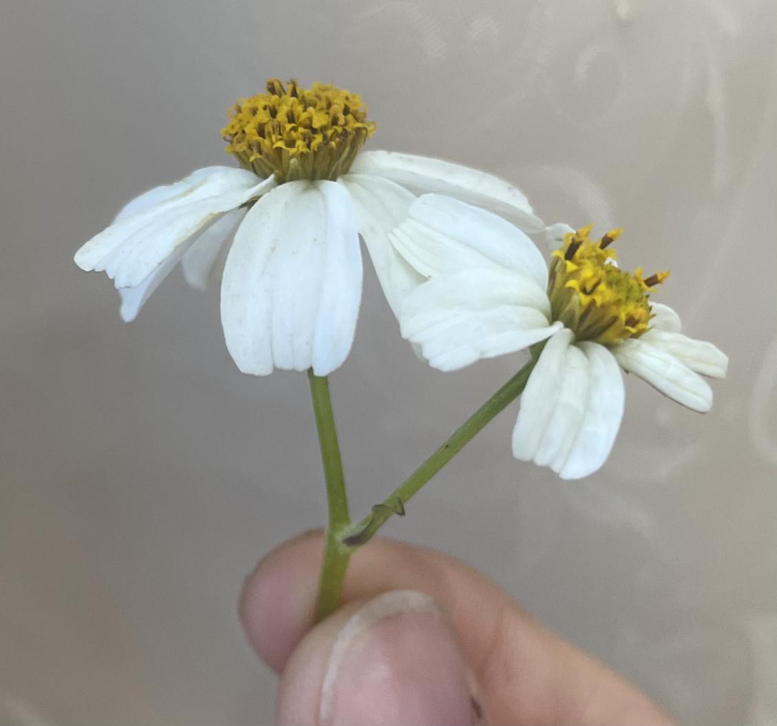 我的今日状态：💰期待暴富
我这里的天气：☀️晴天