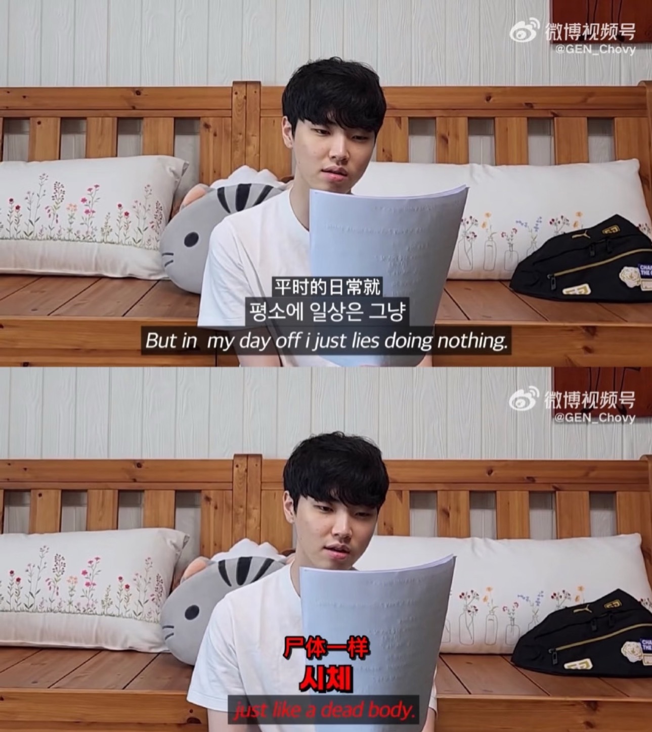 我每天的精神状态就这样猫猫meme 