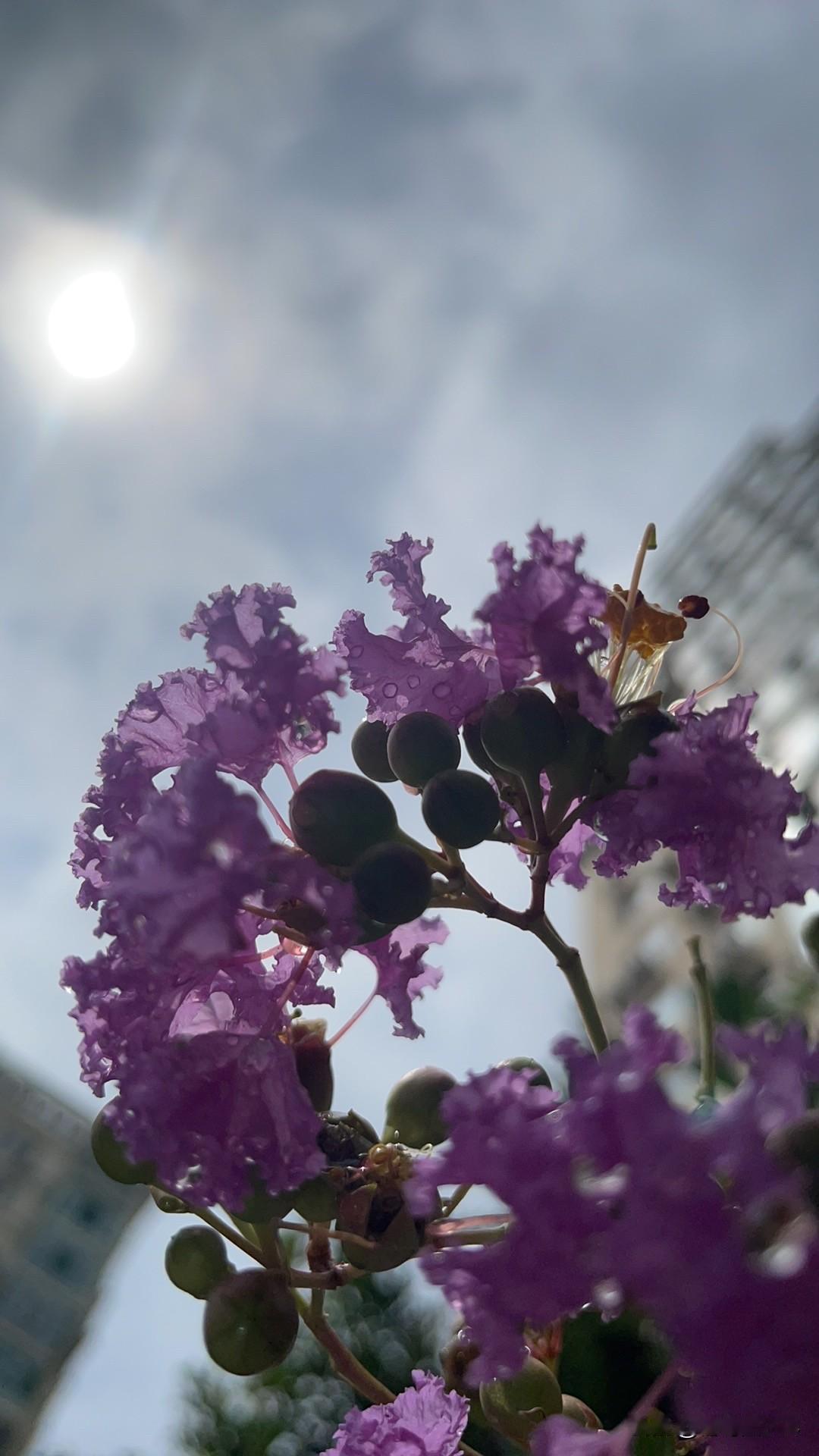 午间一顿酒，
醒来已黄昏。
追忆少年事，
多少画中人。
——4月25日湖东王老五