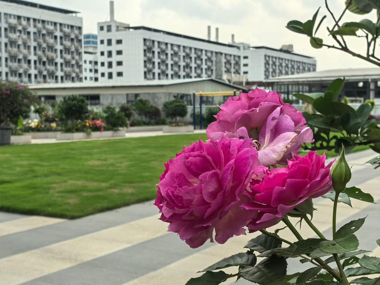 如果自己的孩子还在念书，一定要让他拼命的读书，特别是中考，一定要考高中！如果考不