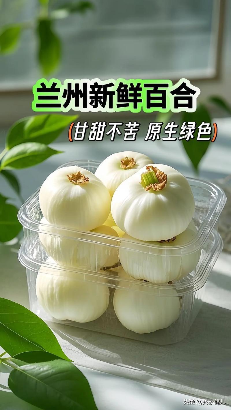 春日生活打卡季中国科学院西北生态环境资源研究院在百合育种领域取得一系列重要进展[