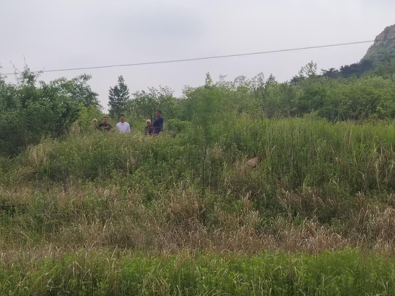 分享一下你随手拍下的照片汝阳县柏树镇黄路村马头崖