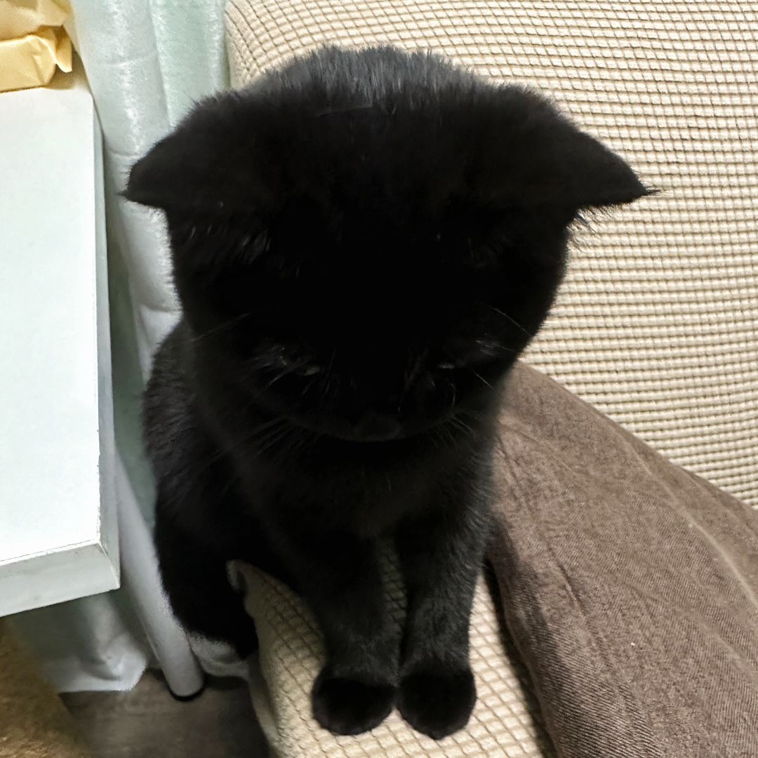 “妈妈 幼儿园的小朋友都笑我”