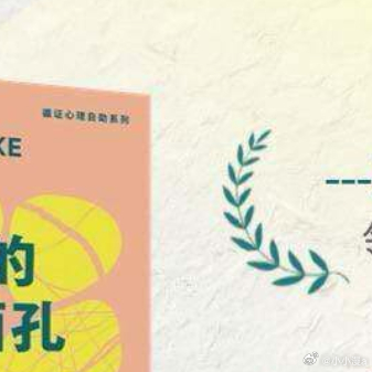 那些温柔又有力量的好书我的私人宝藏书单书评《焦虑的12副面孔》北京师范大学心理学