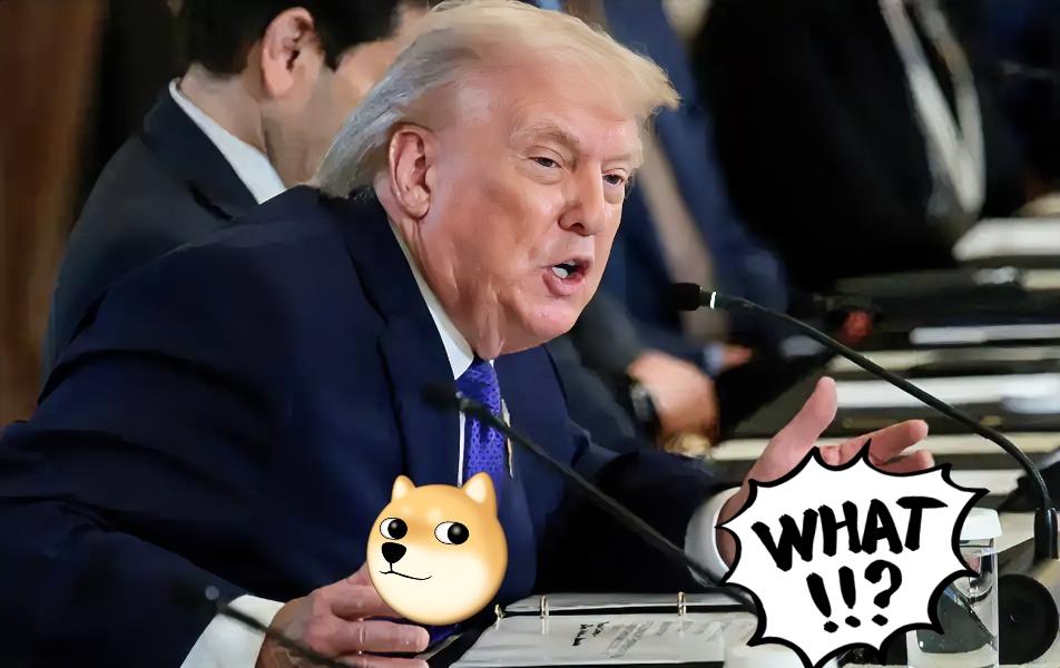 美国总统特朗普宣布了！

当地时间1月10日，美国总统特朗普公开扬言，他“不需要