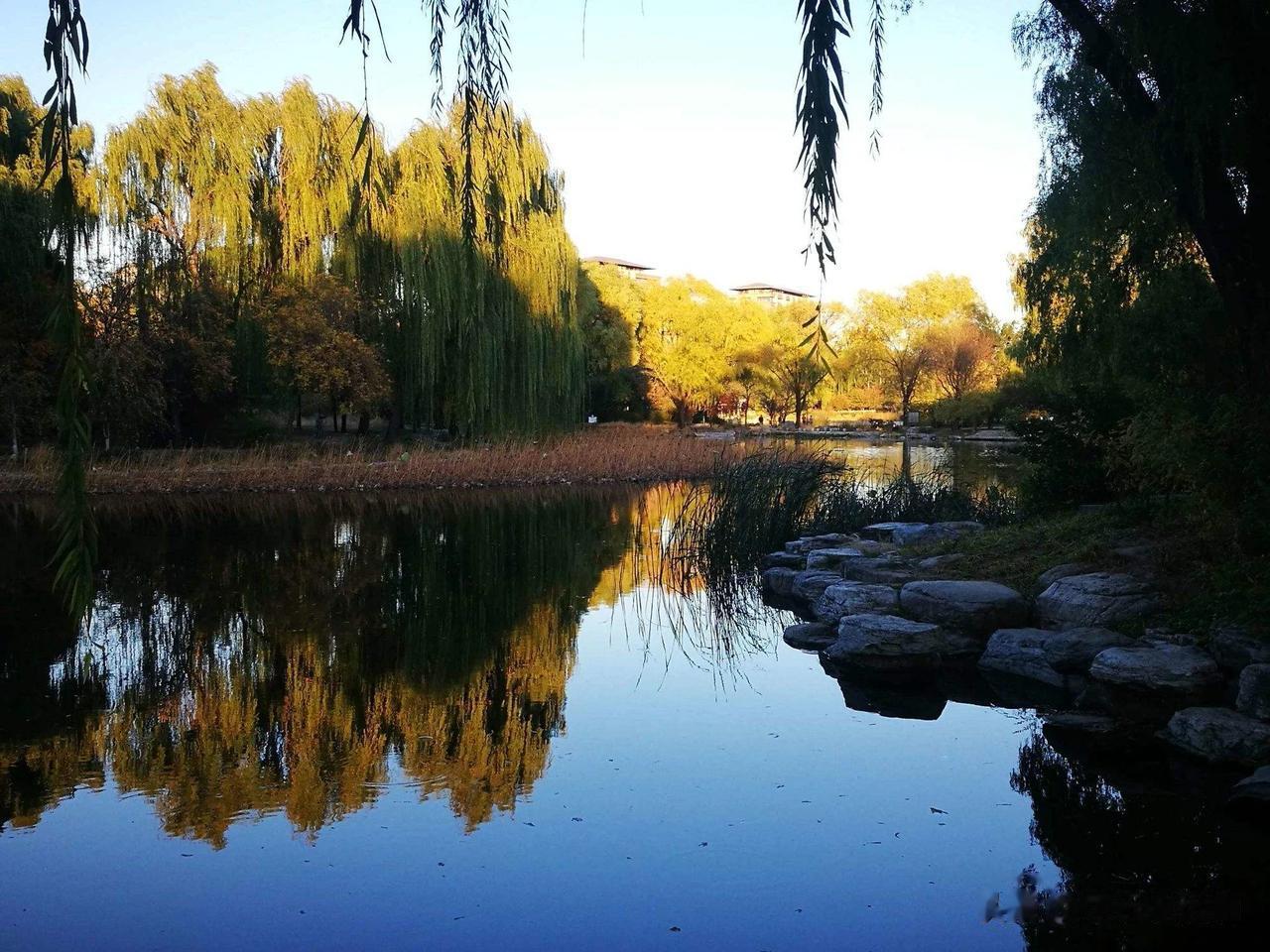 玉渊潭公园一年四季都有的看，春天樱花盛开，夏天是游船荡漾在水面，秋天就更美金的叶
