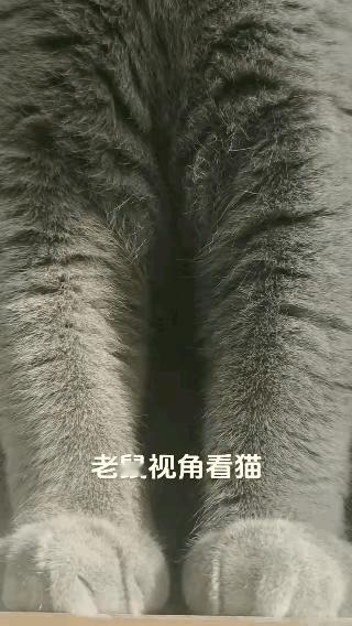 换个角度就是不一样啊…相当于人遇到八米高的怪兽[我想静静]