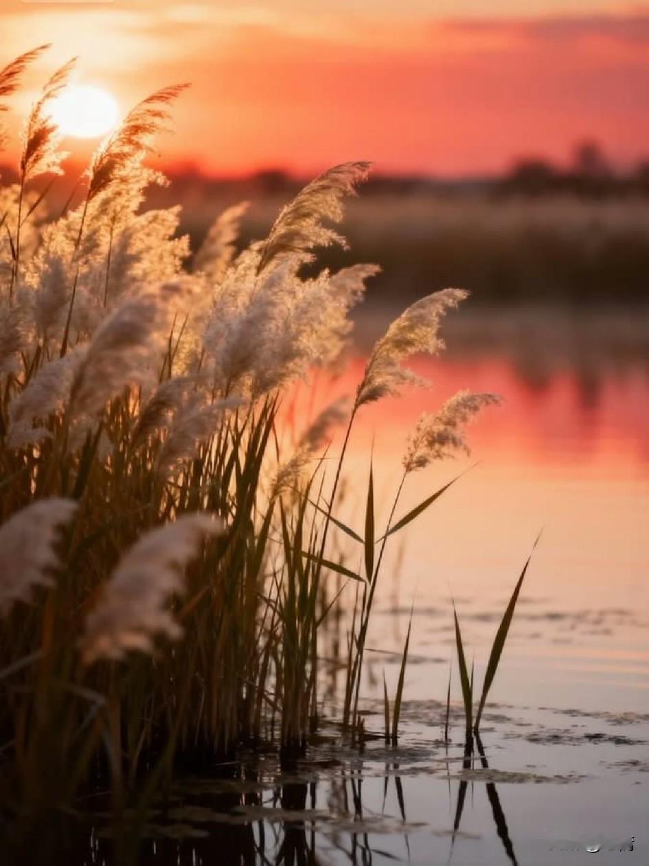 人到一定年龄，一定要懂得，静而不争，万般随缘。留得住的，无需用力，留不住的，不需