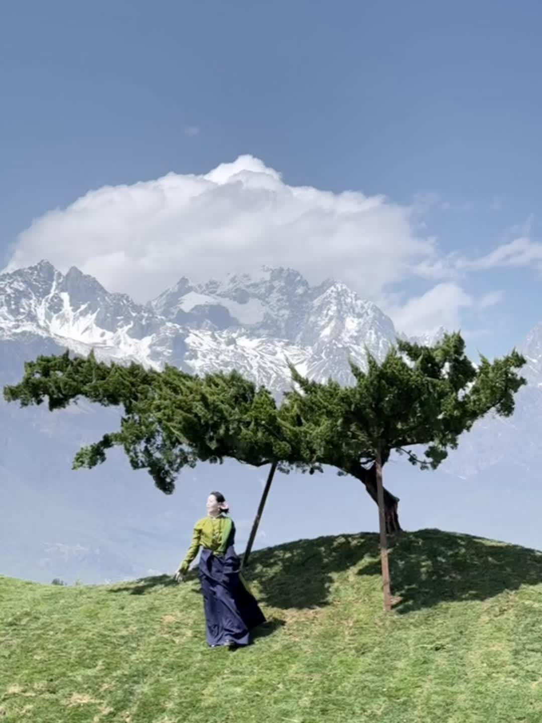 离白沙古镇只有几分钟的7号树