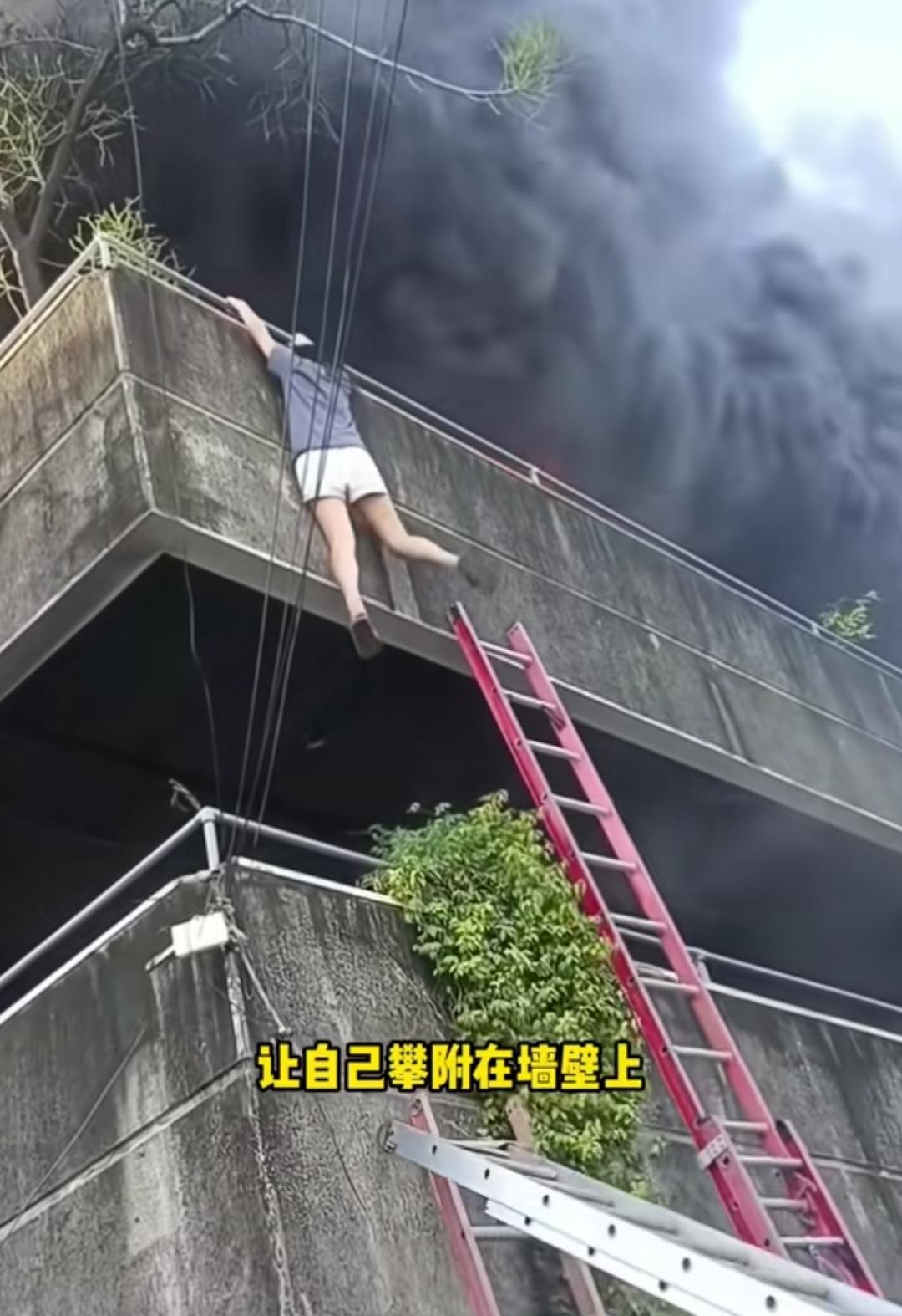 好伟大的女孩，
冒着自己的生命危险，
救两只小狗，
事情发生在2025年12月1