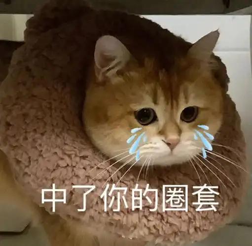 北宋宰相居然教唆侄子揍叔叔，看似悖逆人伦，只为以诈治恶

1035年，龙图阁直学