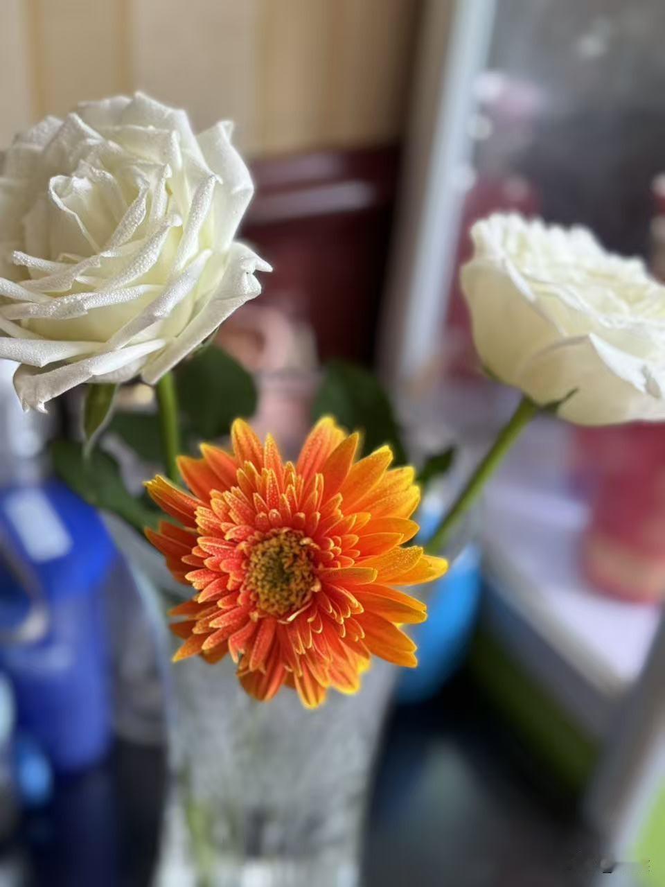 年轻时总想着靠父母遮风挡雨，可父母会老去，没法护你一生周全；后来盼着靠伴侣分担生