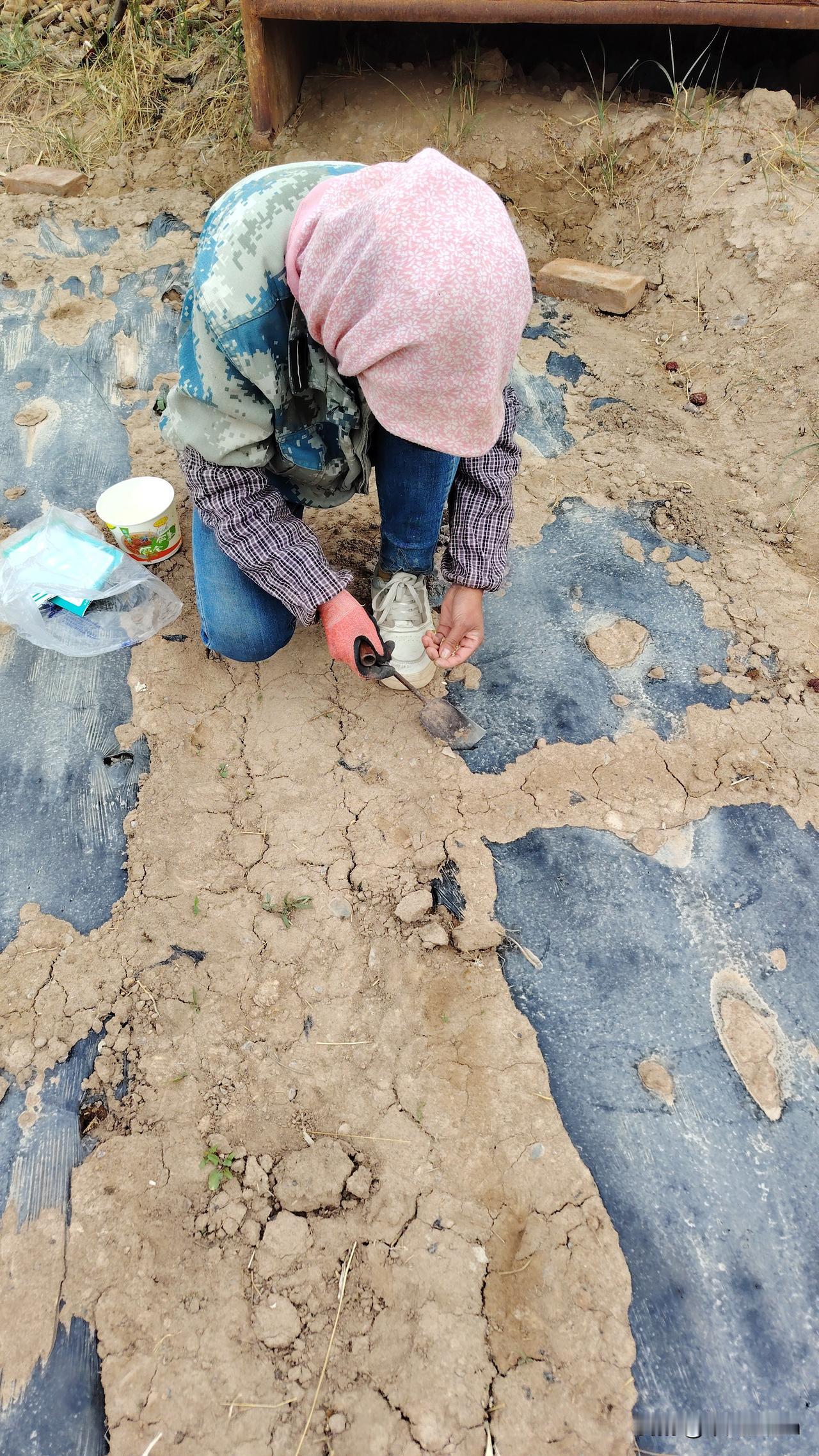 有多少女人和我一样，从早忙到晚，回到家连口热乎饭都吃不上，还得去喂牛羊。这样的女