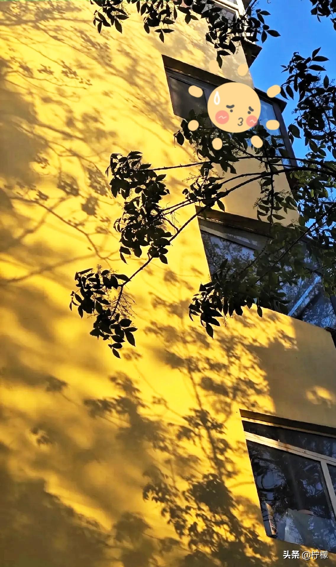 “38号文”一出，
我就把挂了两年的房子给撤了。
中介都懵了，说姐你疯了？
现在