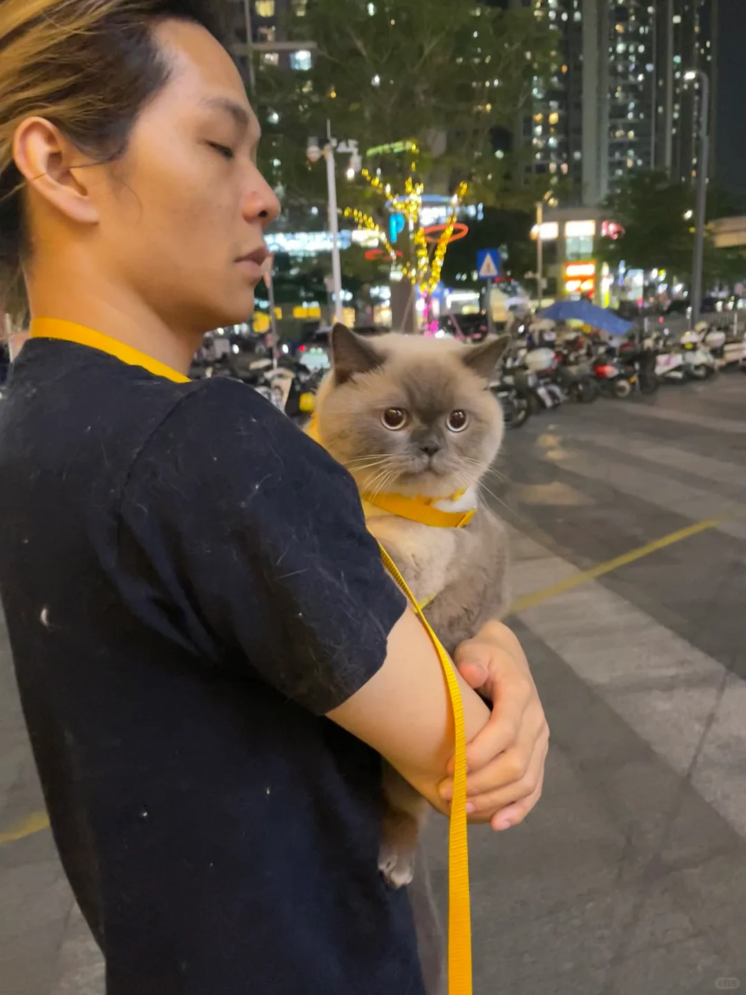 三岁了还要爸爸抱