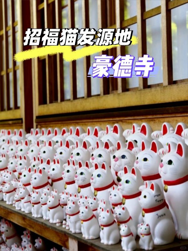 东京必去的猫猫神社🐱