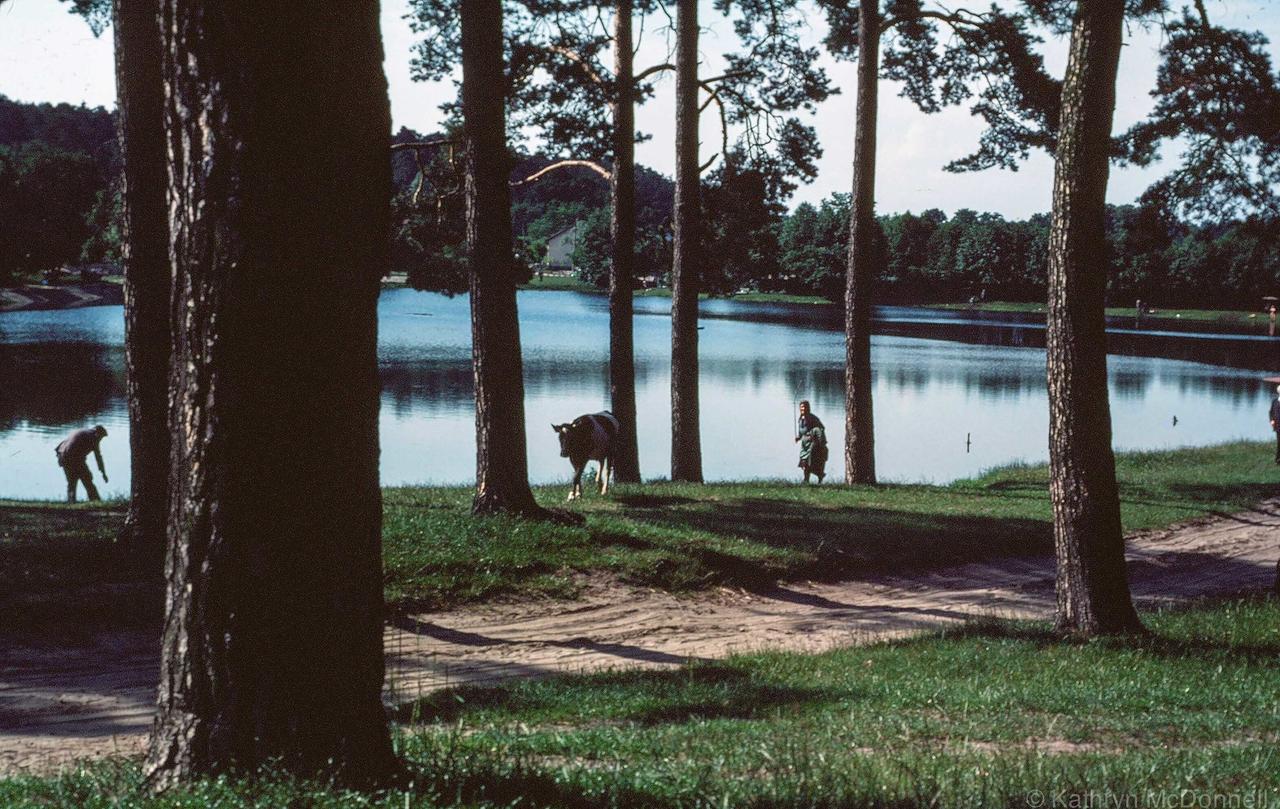 公园里，苏联，1985年摄。 ​​​