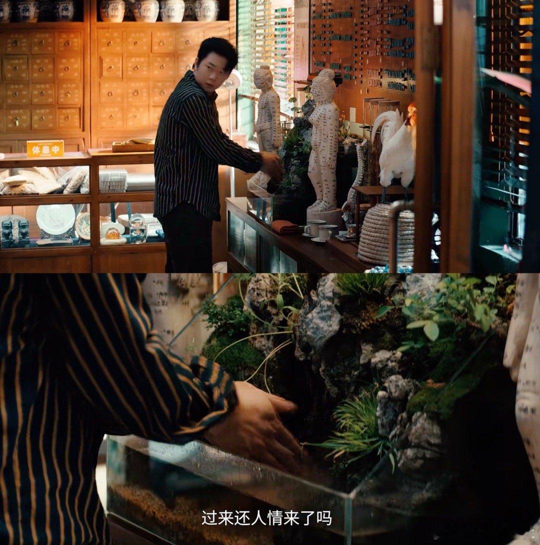 洗鱼缸手 喝咖啡鸡万宝楼的老板就是这么有品味！《枭起青壤》迪丽热巴 陈星旭 