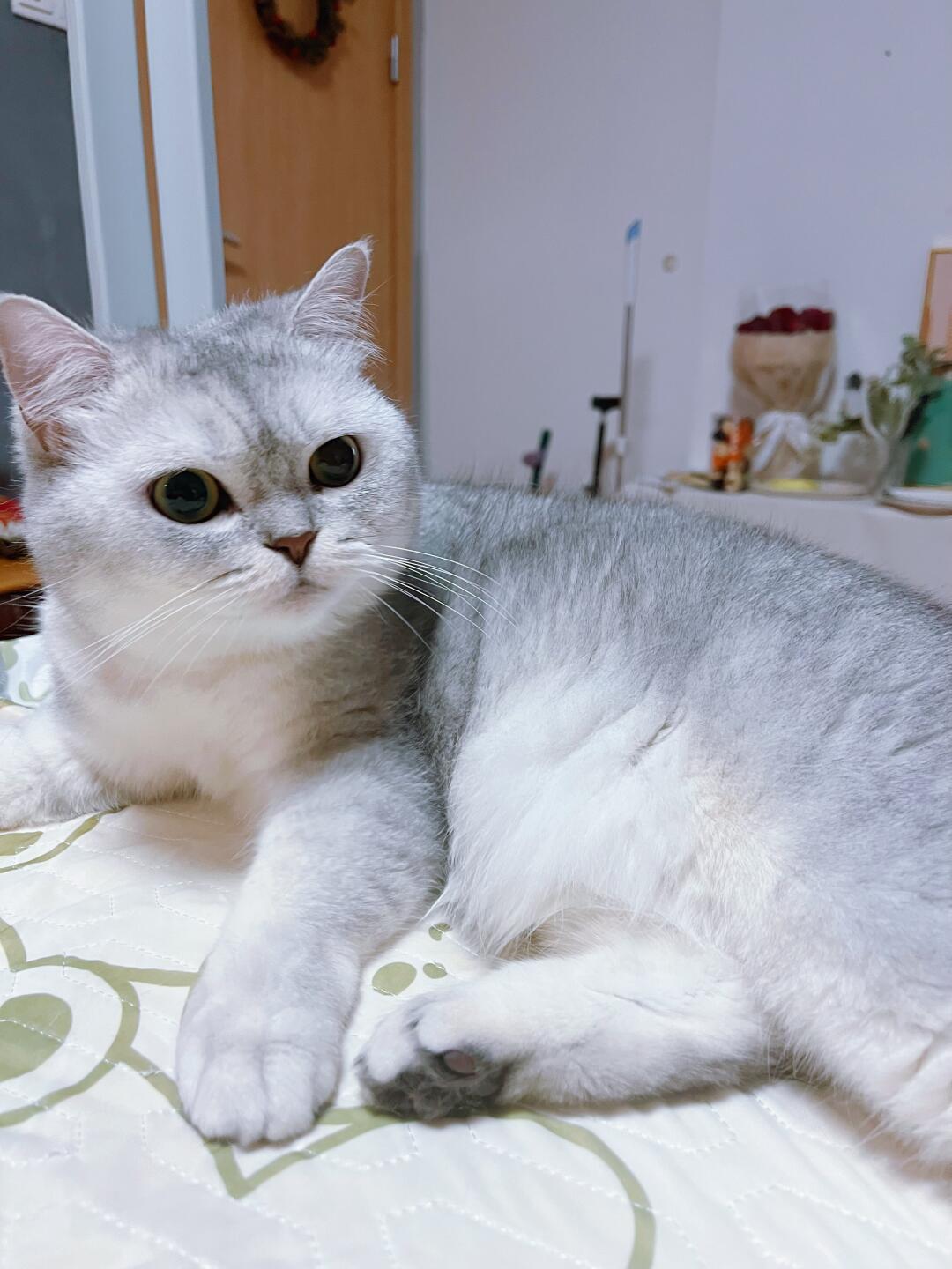 妈妈的宝贝来了