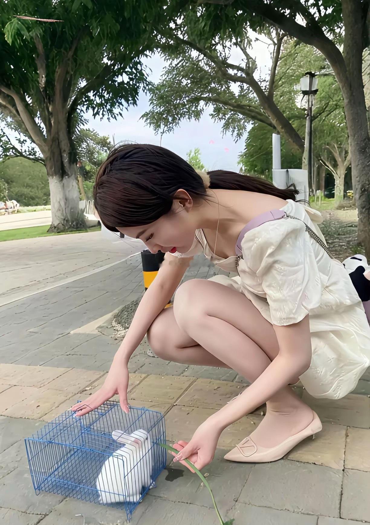 兔子🐰不吃树枝叶吗？还是说兔子不吃窝边草 ​​​
