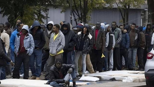 一个国家能“蠢”到什么程度？看看法国就明白了。现在法国黑人接近800万，占总人口