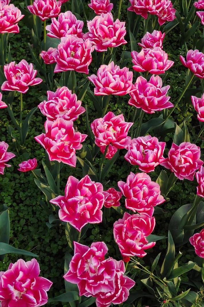 一种很爽的人生态度，
你说你的，我做我的。

有些人喜欢好为人师，
总想着给别人