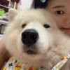 萨摩闷你欸呀呀