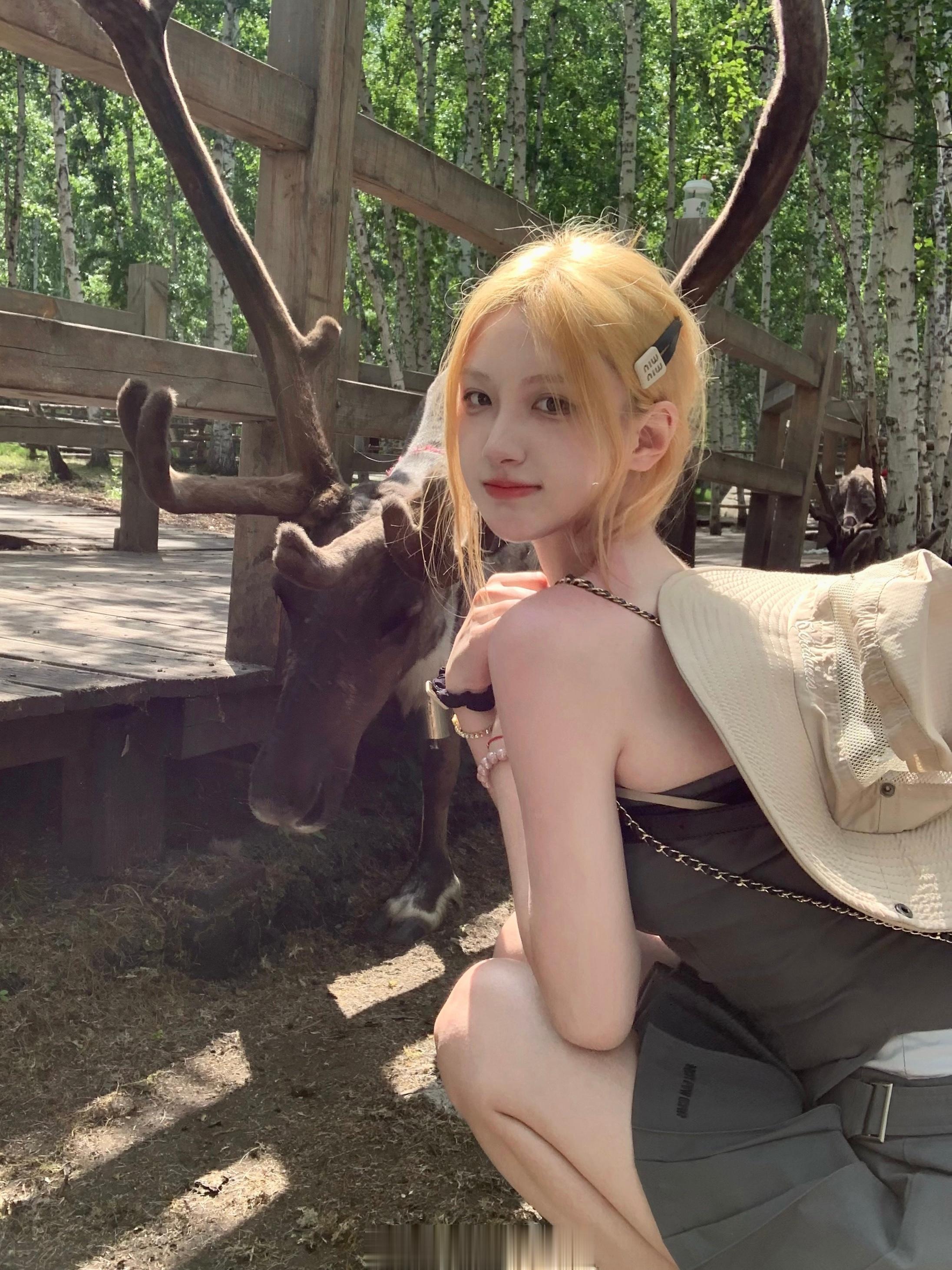 麋鹿见了我就跑！ ​​​