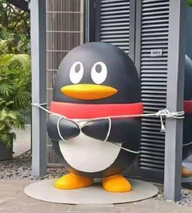 巴威，不怕你！五花大绑 