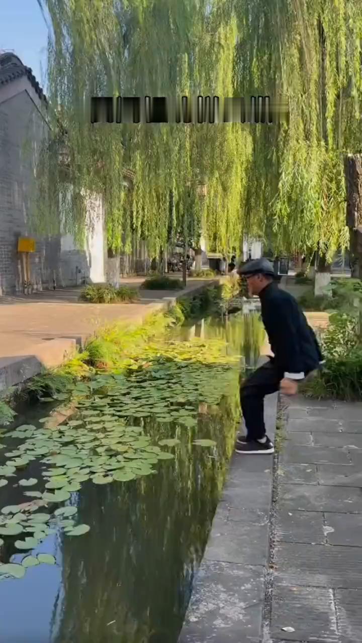 民间轻功梯云纵。