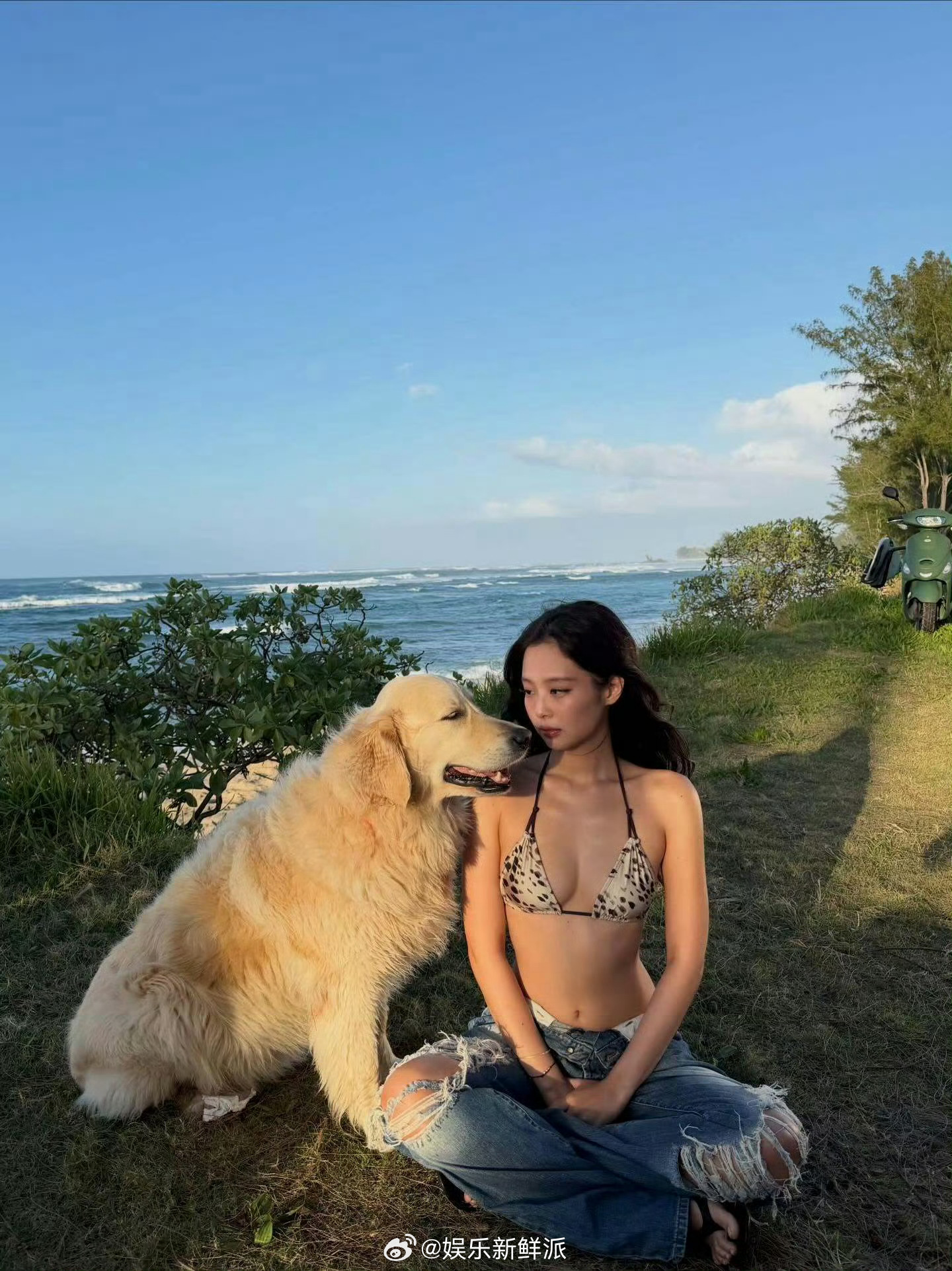 派酱安利 jennie比基尼大片 海风、阳光和！这组照片太有生命力啦～小派的夏日