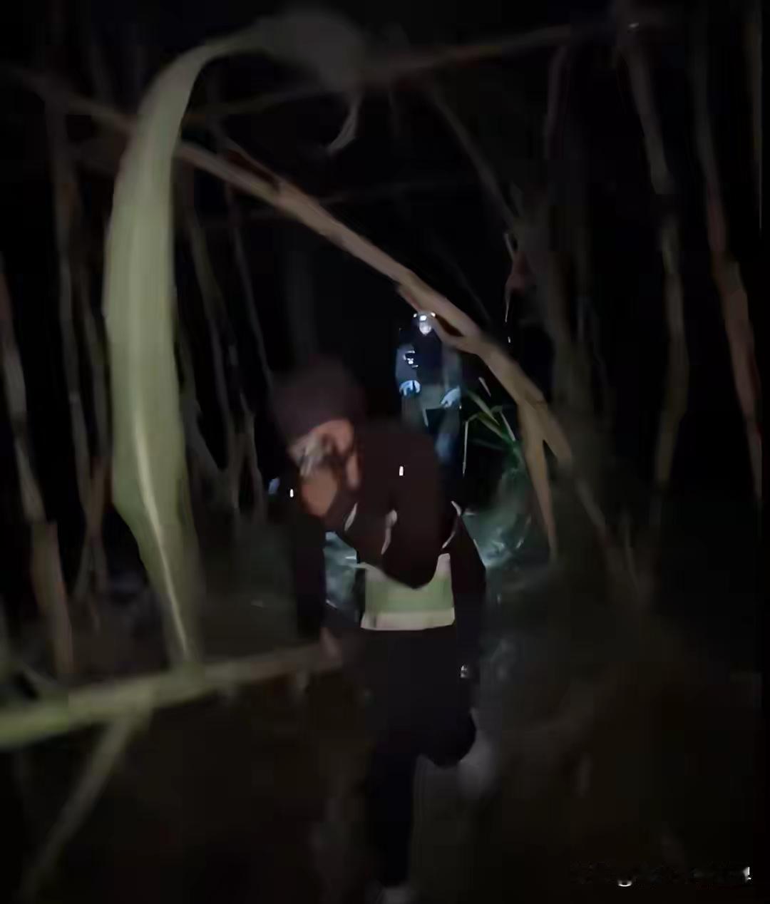 9.9元“偷甘蔗”爆火！上千人半夜涌入，谁在花钱买罪受

这年头，什么都能“黑市