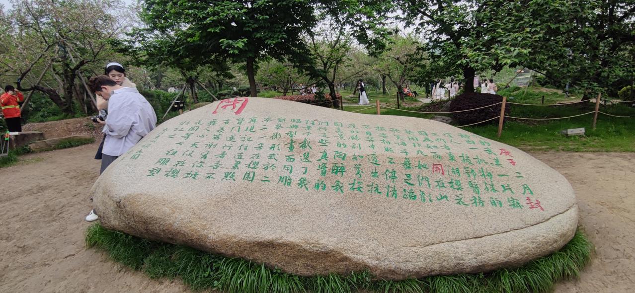 不要用你的过去，设想未来的人生；因为过去不能左右，但未来可以选择。