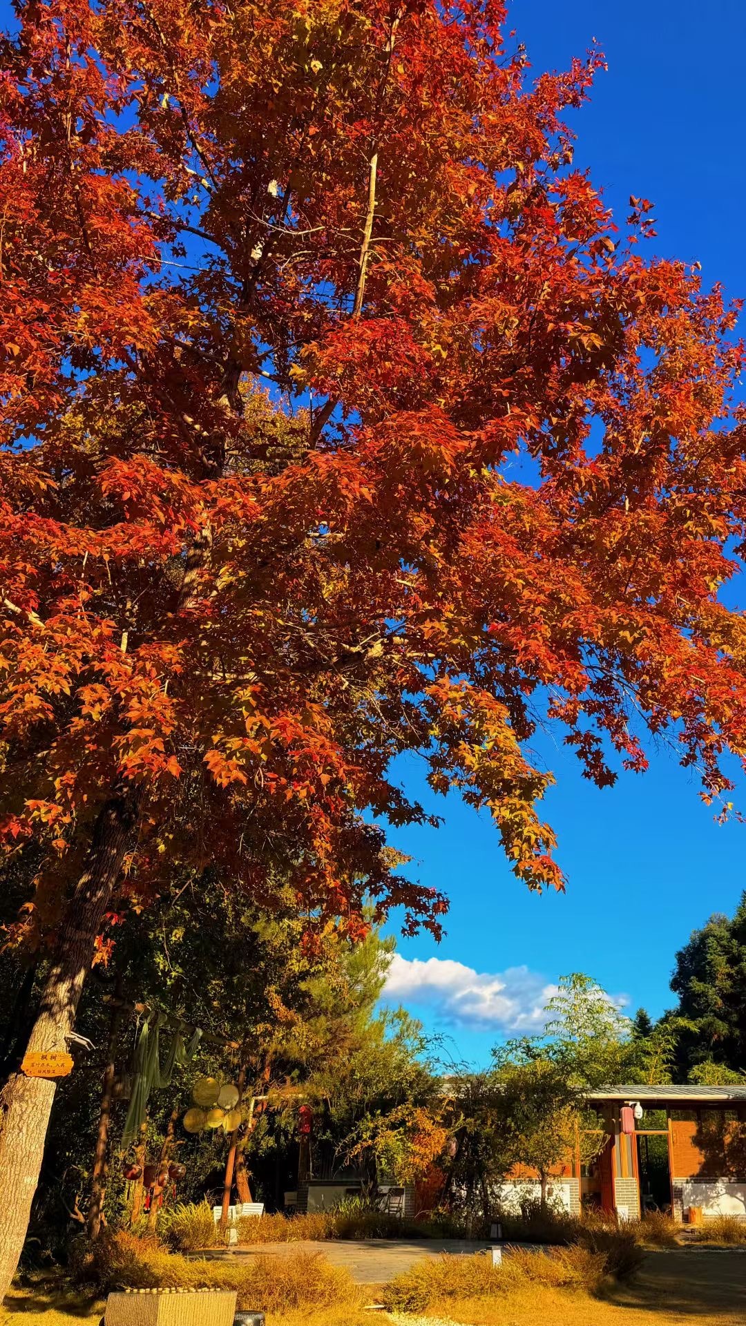 这样平凡的日子 我永远热爱💛今天和妈妈逛街就是非常单纯的那种逛街我说每次和朋友