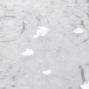 人生的路经历过，才知道有短有长；岁月，在无憾中微笑，才美丽；回过头，想着明天抱一