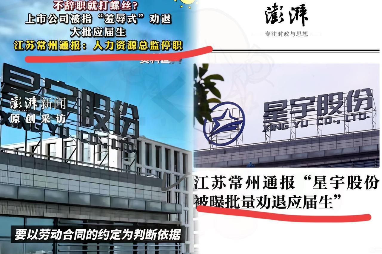 107个应届生，没走劳动仲裁，直接一封投诉捅到了港交所。星宇车灯这回算是明白了—