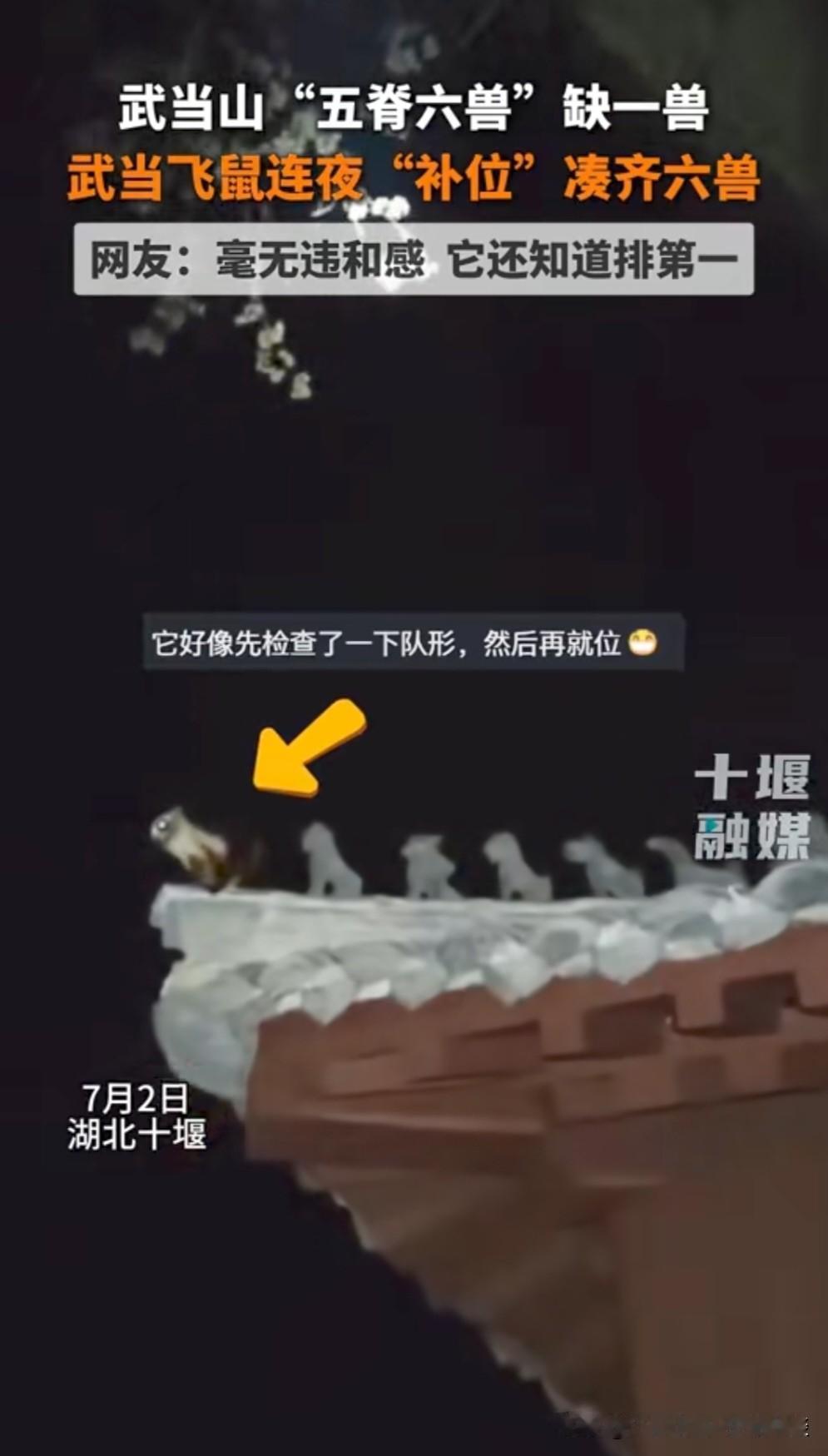 武当山上，“五脊六兽”缺一兽，一只飞鼠飞上屋顶，补齐第六兽。它在就位之前，还看了