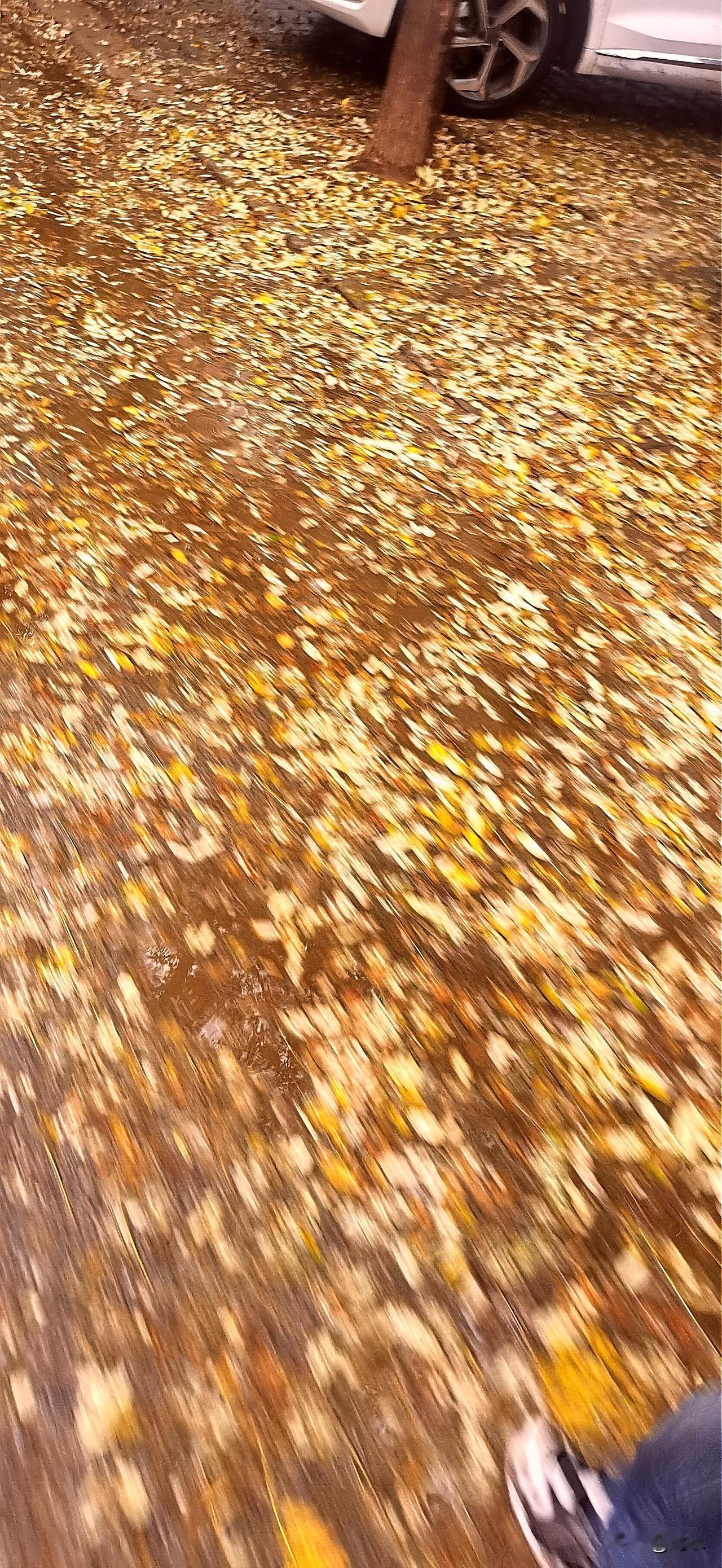 人到中年，像我这样的男人，还有比遭遇中年失业更悲剧的吗？我的回答是有！

人到中