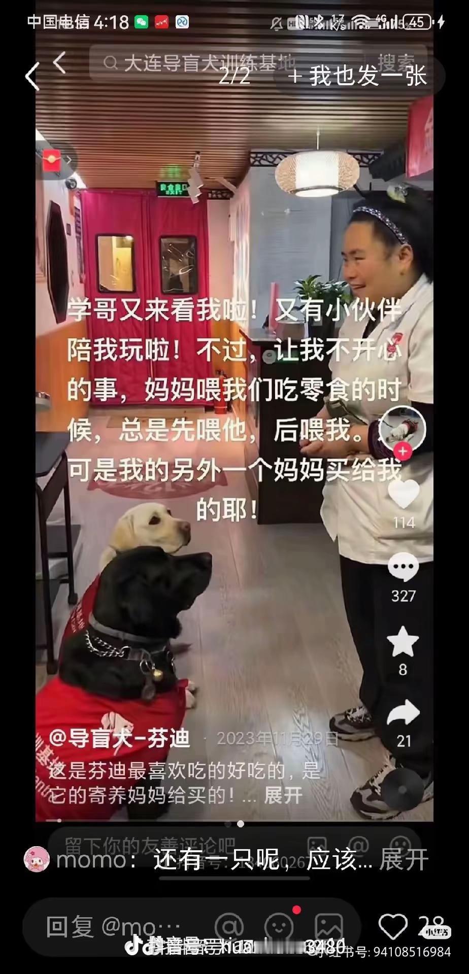 还有一只，卡里，黑色拉布拉多！也带去爬山了，芬迪被发出来了之后她们就把卡里的视频