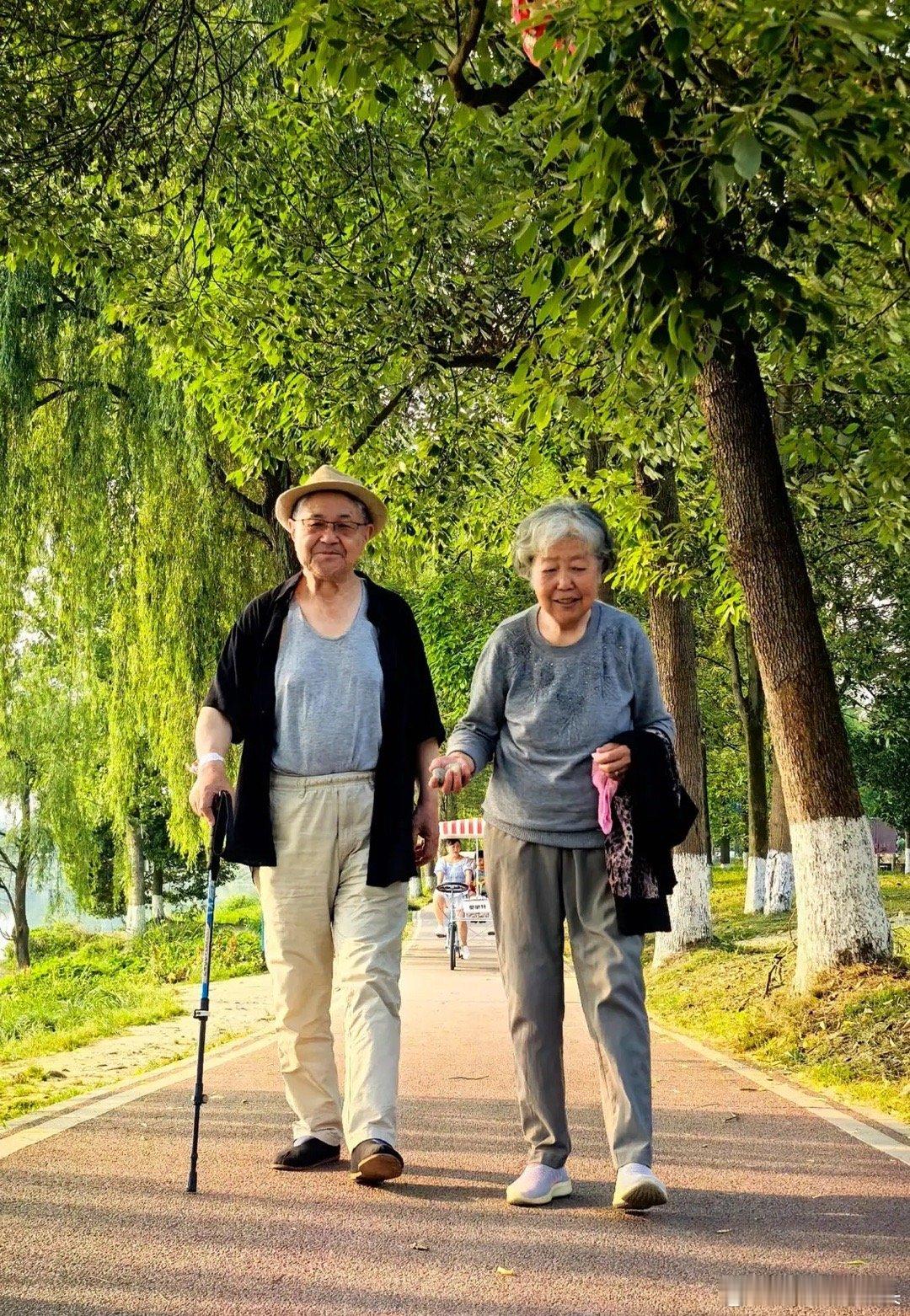 过了 65 岁想再活 40 年，切记要多吃这 15 样好东西： 1. 鸡蛋最实在