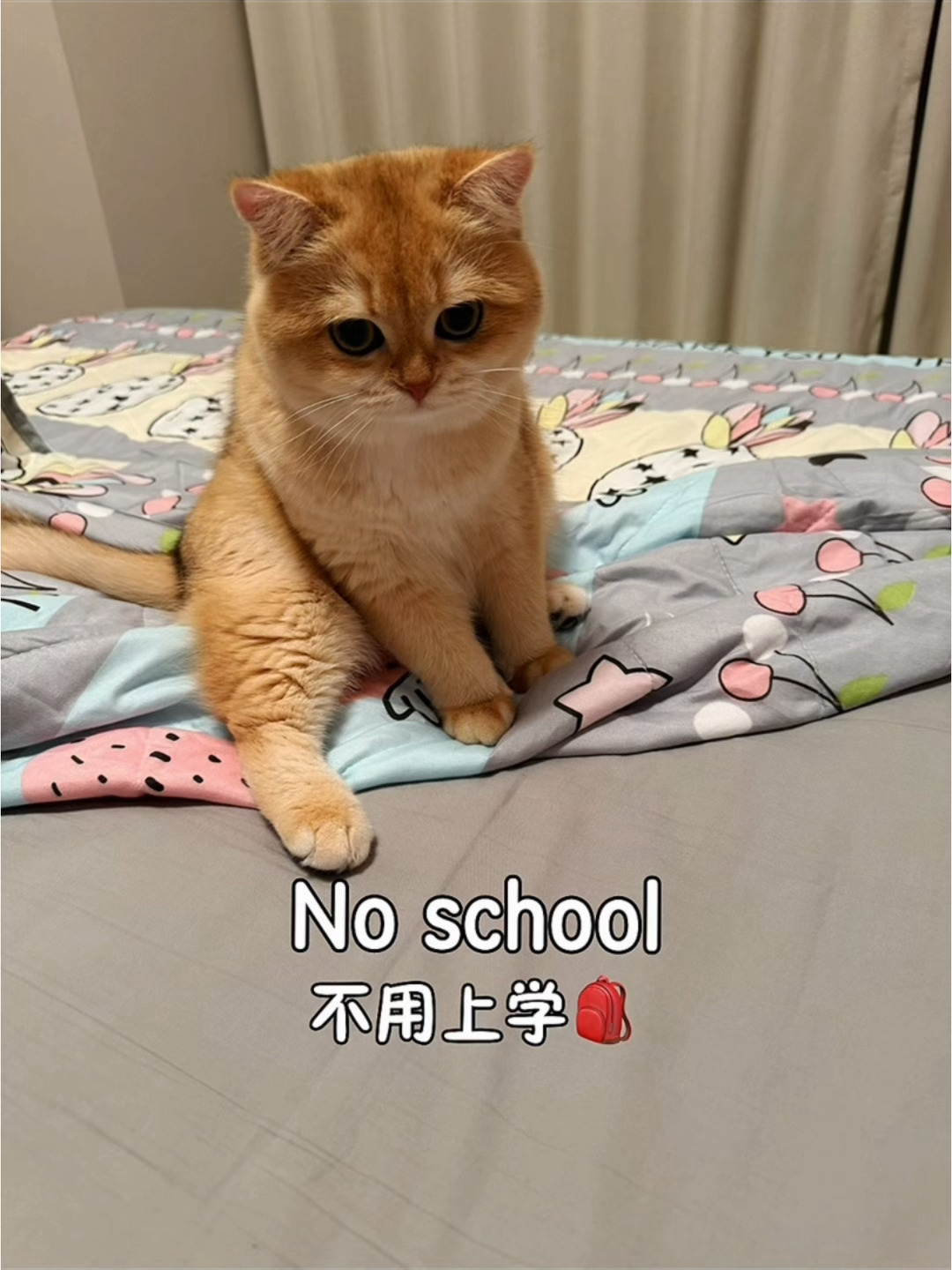 老娘产出我女 