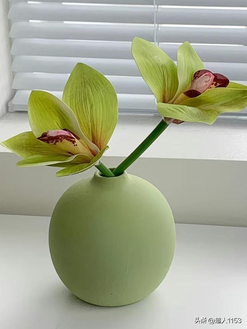 又来头条打卡了，
美好的一天开始了！

清晨阳光明媚，
阳光洒在窗前。

又是新