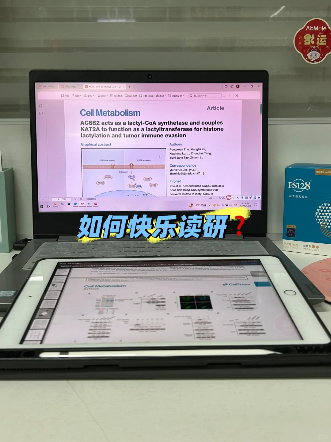 没有情绪稳定的研究生，有的话一定在背后……