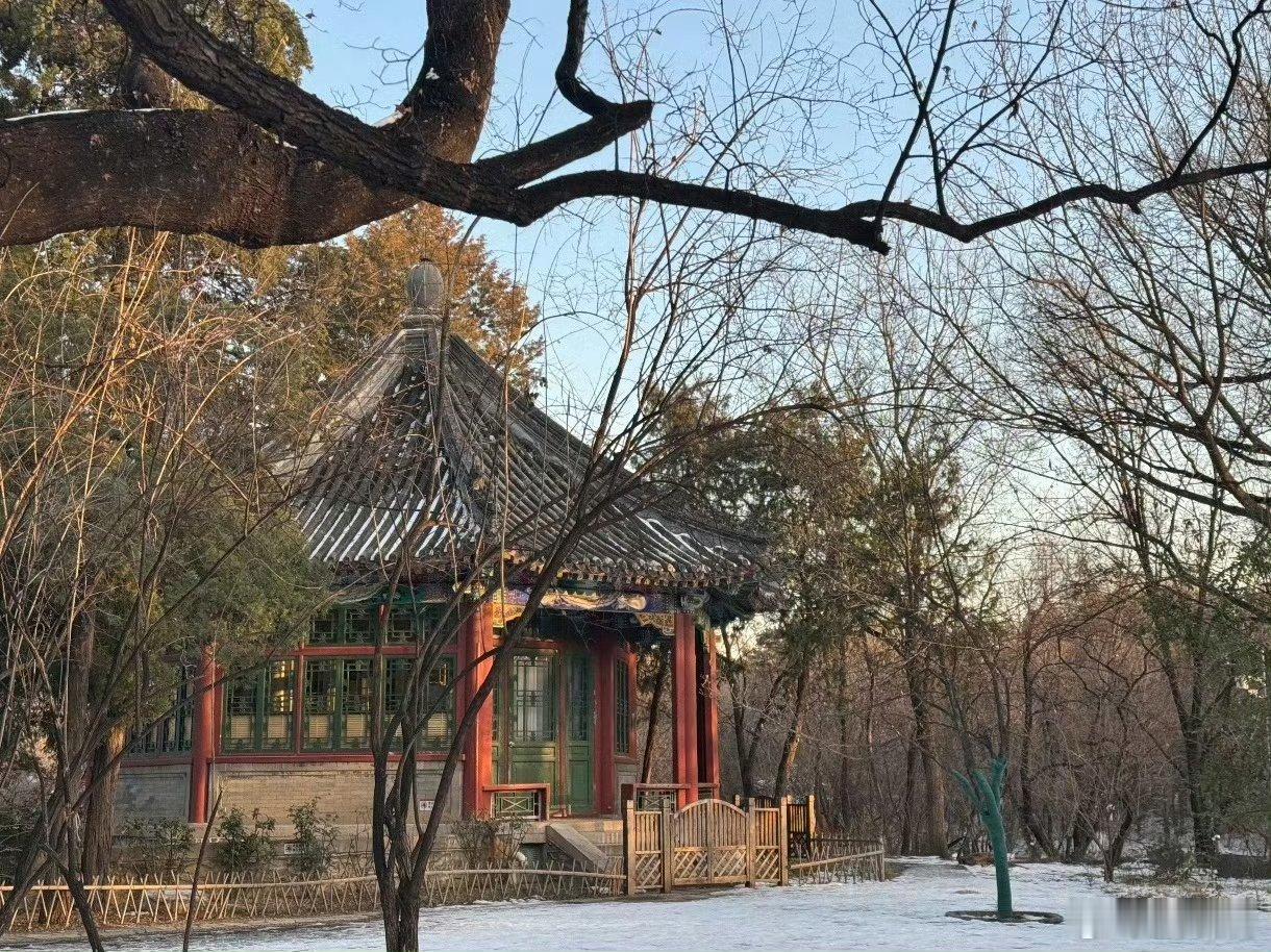 王楚钦最近的停停走走头哥走走停停这也太可爱了，从球台到公园直接化身太极大师，哈哈