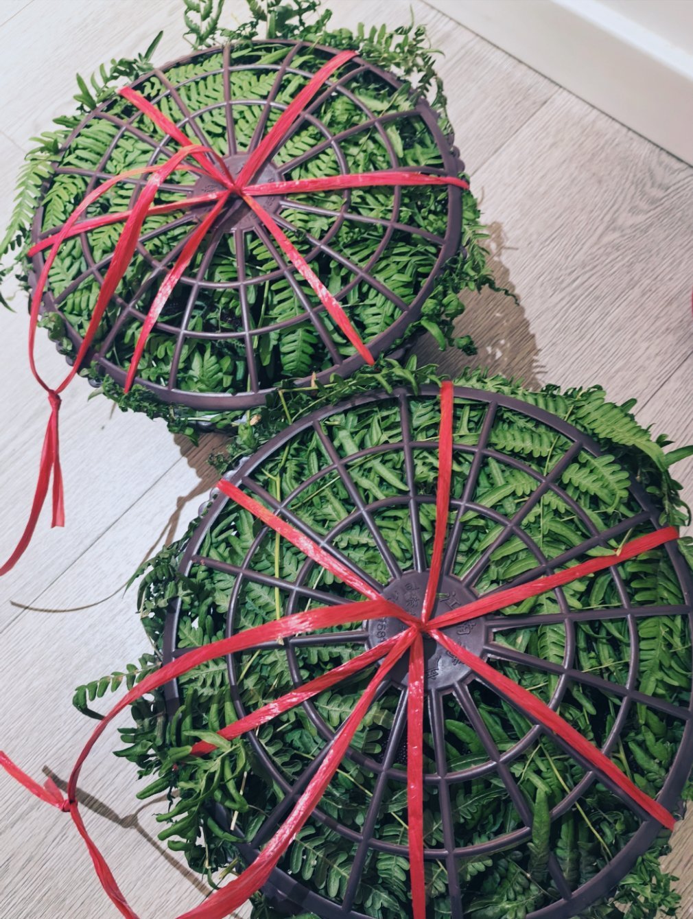 生活手记 有个说法是:如果你在江浙沪，这个季节没人给你送杨梅……