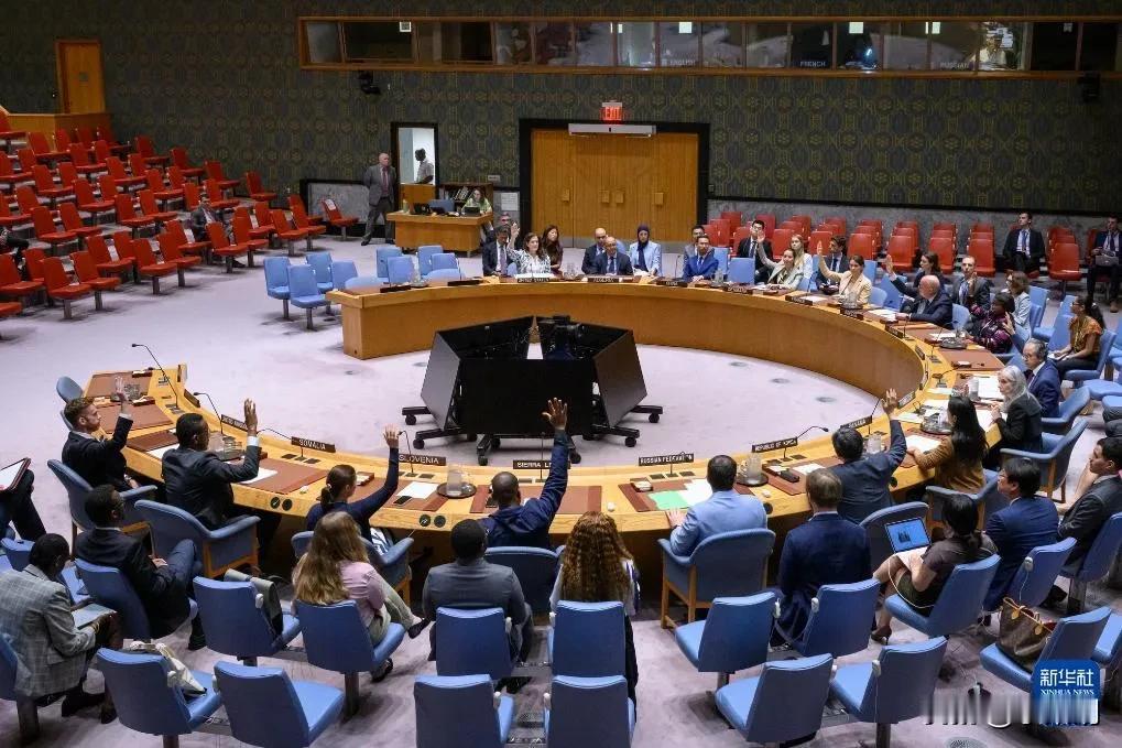 罕见！
安理会决议，12赞成:0反对
中国投出弃权票
    新华社联合国7月1