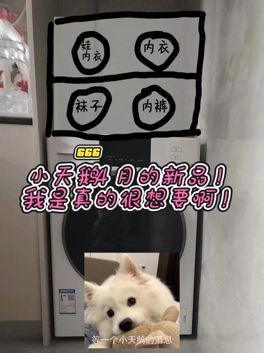 小天鹅，这个我是真的很想要